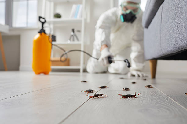 Post-Treatment Bed Bug Interceptor Monitoring in Mayfield