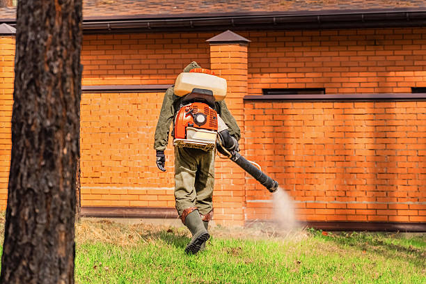 Bed Bug Clearance Verification and Documentation in Mayfield